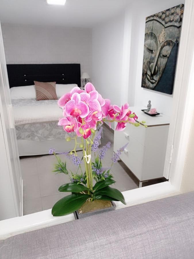 Casa Fortu La Palma 로스 야노스 데 아리다네 외부 사진
